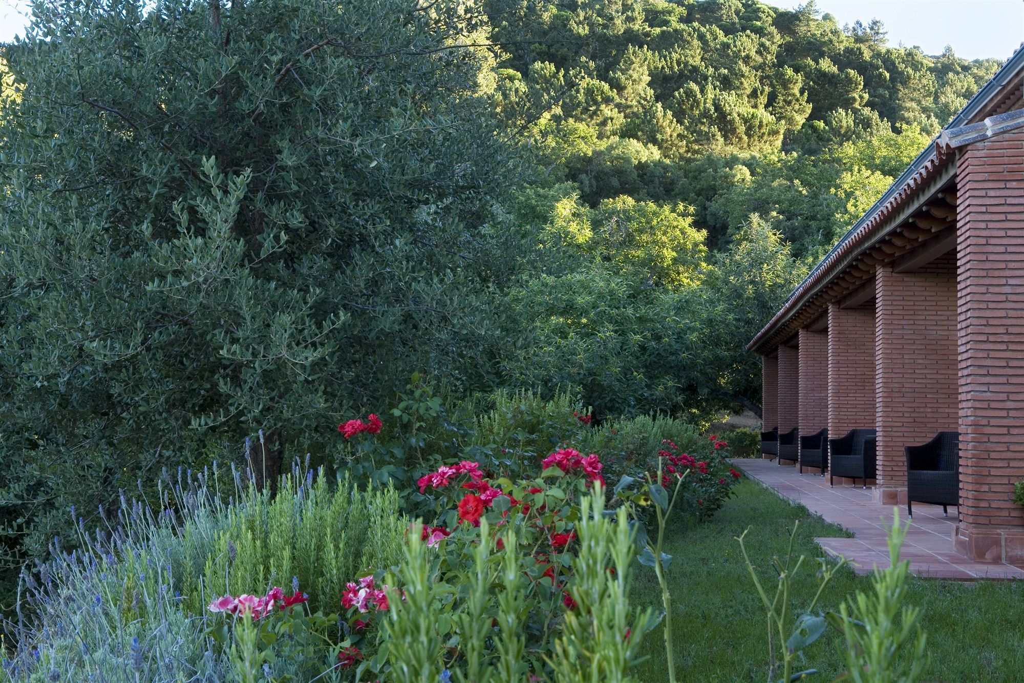 Rusticae Finca La Fronda Alajar Exterior photo